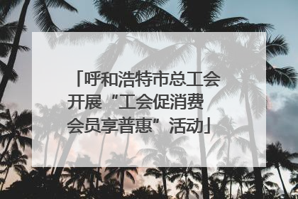 呼和浩特市总工会开展“工会促消费 会员享普惠”活动