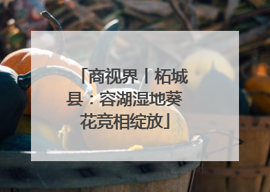 商视界丨柘城县：容湖湿地葵花竞相绽放