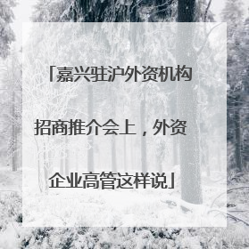 嘉兴驻沪外资机构招商推介会上，外资企业高管这样说