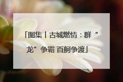 图集丨古城燃情：群“龙”争霸 百舸争渡