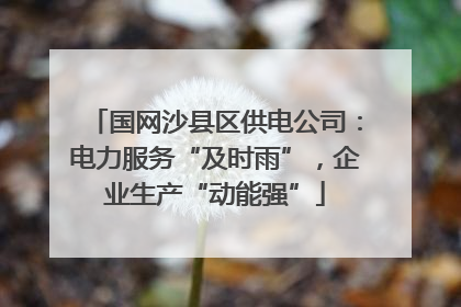 国网沙县区供电公司：电力服务“及时雨”，企业生产“动能强”