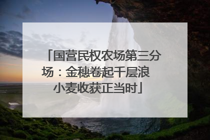 国营民权农场第三分场：金穗卷起千层浪 小麦收获正当时