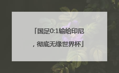国足0:1输给印尼，彻底无缘世界杯