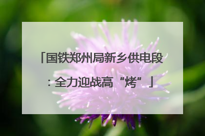 国铁郑州局新乡供电段：全力迎战高“烤”