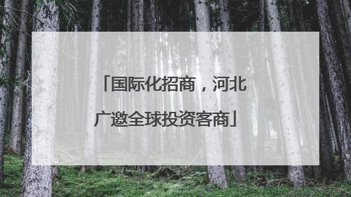 国际化招商，河北广邀全球投资客商