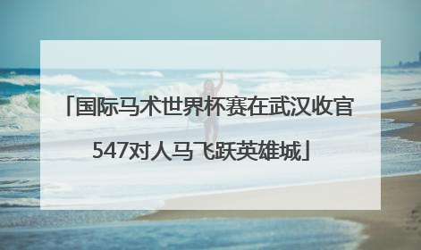 国际马术世界杯赛在武汉收官 547对人马飞跃英雄城