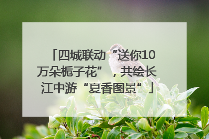 四城联动“送你10万朵栀子花”，共绘长江中游“夏香图景”
