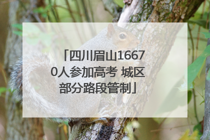 四川眉山16670人参加高考 城区部分路段管制