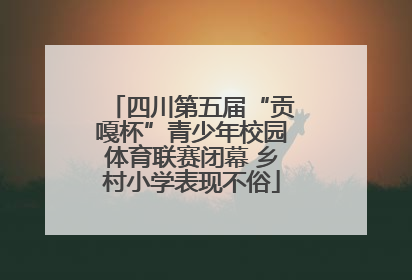 四川第五届“贡嘎杯”青少年校园体育联赛闭幕 乡村小学表现不俗