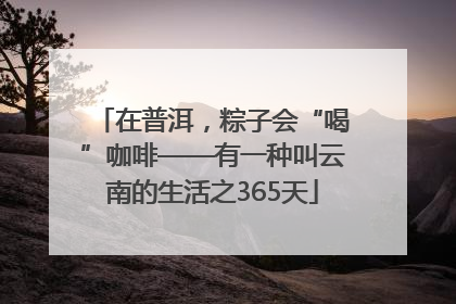 在普洱，粽子会“喝”咖啡——有一种叫云南的生活之365天