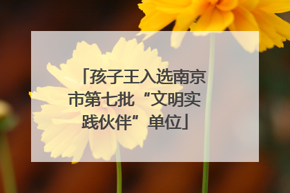 孩子王入选南京市第七批“文明实践伙伴”单位