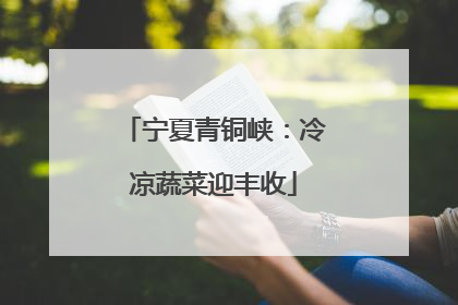 宁夏青铜峡：冷凉蔬菜迎丰收