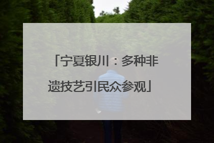 宁夏银川：多种非遗技艺引民众参观
