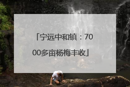 宁远中和镇：7000多亩杨梅丰收