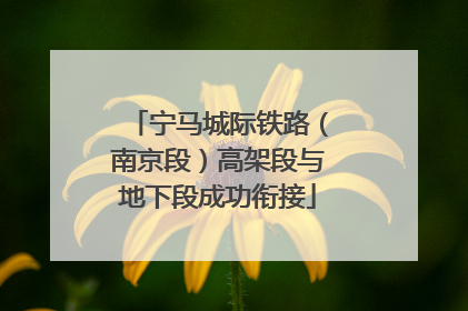 宁马城际铁路（南京段）高架段与地下段成功衔接