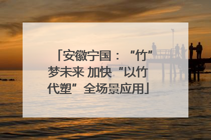 安徽宁国：“竹”梦未来 加快“以竹代塑”全场景应用