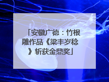 安徽广德：竹根雕作品《梁丰岁稔》斩获金鼎奖