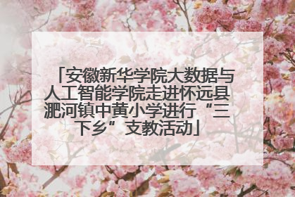 安徽新华学院大数据与人工智能学院走进怀远县淝河镇中黄小学进行“三下乡”支教活动