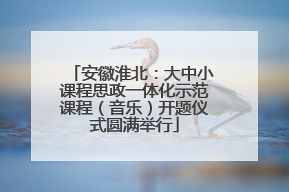 安徽淮北：大中小课程思政一体化示范课程（音乐）开题仪式圆满举行
