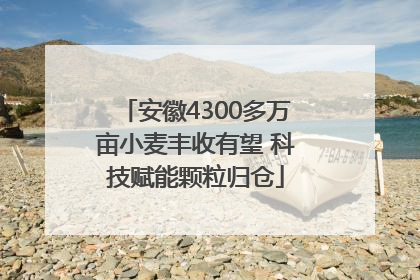 安徽4300多万亩小麦丰收有望 科技赋能颗粒归仓
