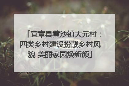 宜章县黄沙镇大元村：四类乡村建设扮靓乡村风貌 美丽家园焕新颜