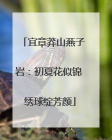 宜章莽山燕子岩：初夏花似锦 绣球绽芳颜