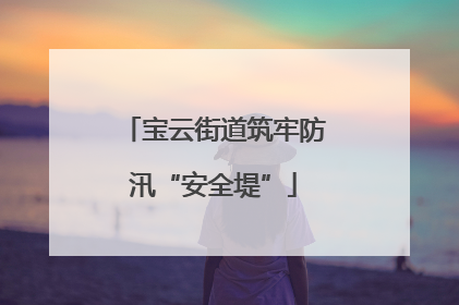 宝云街道筑牢防汛“安全堤”