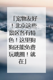宠物友好！北京这些景区各有特色！这里狗狗还能免费玩跳圈！就在