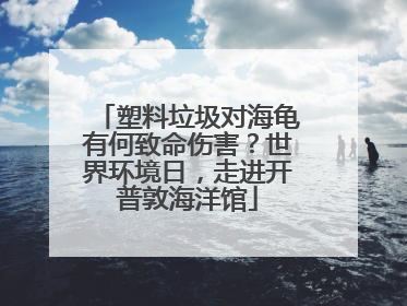 塑料垃圾对海龟有何致命伤害？世界环境日，走进开普敦海洋馆