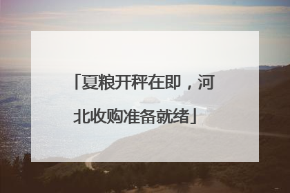 夏粮开秤在即，河北收购准备就绪