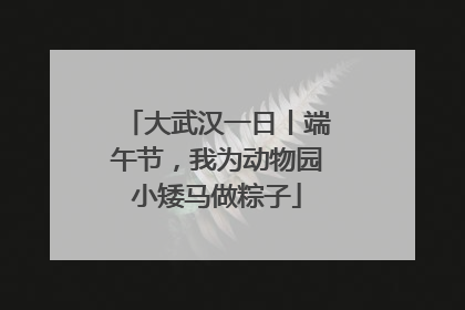 大武汉一日丨端午节，我为动物园小矮马做粽子