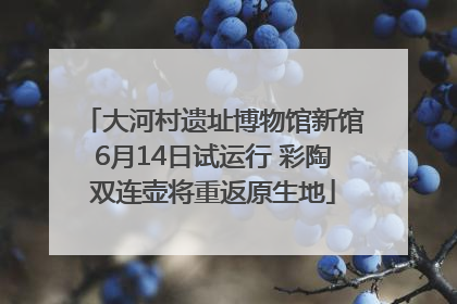大河村遗址博物馆新馆6月14日试运行 彩陶双连壶将重返原生地