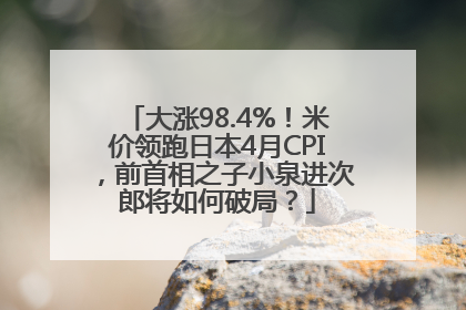 大涨98.4%！米价领跑日本4月CPI，前首相之子小泉进次郎将如何破局？