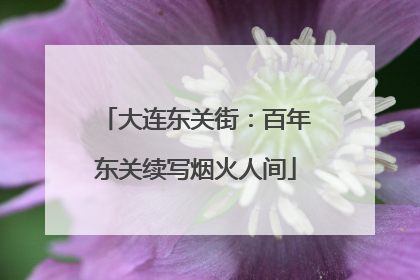 大连东关街：百年东关续写烟火人间