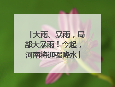大雨、暴雨，局部大暴雨！今起，河南将迎强降水