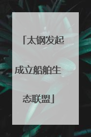 太钢发起成立船舶生态联盟