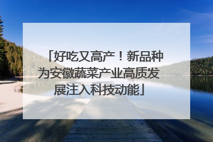 好吃又高产！新品种为安徽蔬菜产业高质发展注入科技动能
