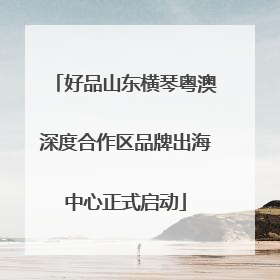 好品山东横琴粤澳深度合作区品牌出海中心正式启动