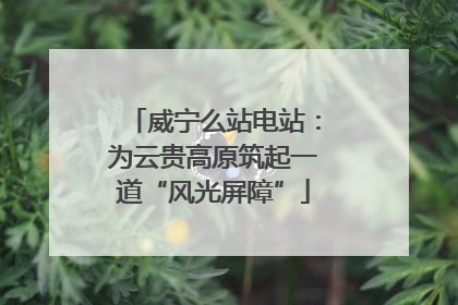 威宁么站电站：为云贵高原筑起一道“风光屏障”