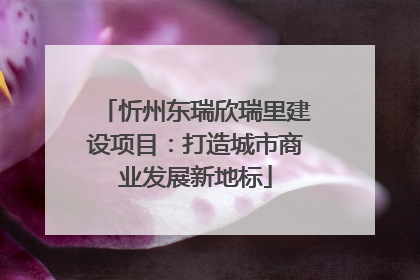 忻州东瑞欣瑞里建设项目：打造城市商业发展新地标