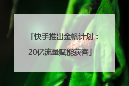 快手推出金帆计划：20亿流量赋能获客