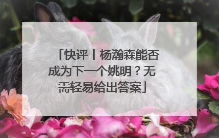 快评丨杨瀚森能否成为下一个姚明？无需轻易给出答案