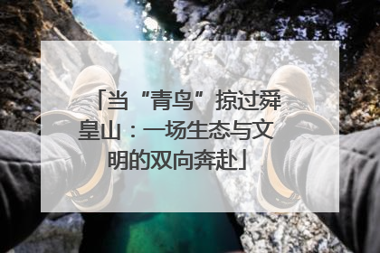 当“青鸟”掠过舜皇山：一场生态与文明的双向奔赴