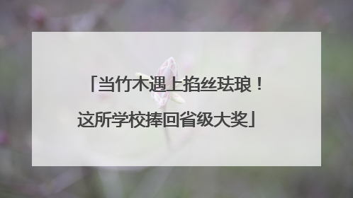 当竹木遇上掐丝珐琅！这所学校捧回省级大奖