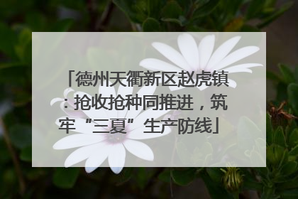 德州天衢新区赵虎镇：抢收抢种同推进，筑牢“三夏”生产防线