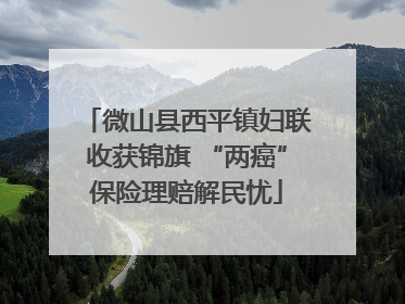 微山县西平镇妇联收获锦旗 “两癌”保险理赔解民忧