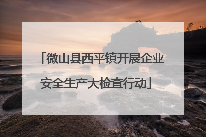 微山县西平镇开展企业安全生产大检查行动