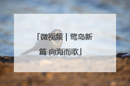 微视频｜鹭岛新篇 向海而歌