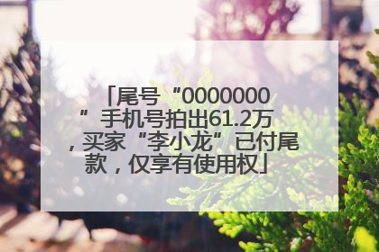 尾号“0000000”手机号拍出61.2万，买家“李小龙”已付尾款，仅享有使用权
