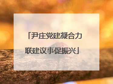 尹庄党建凝合力 联建议事促振兴